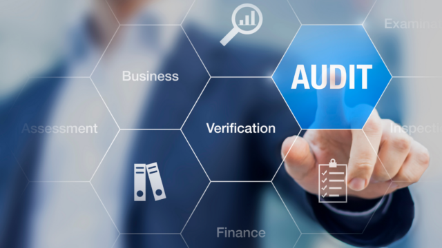 Audits and their types